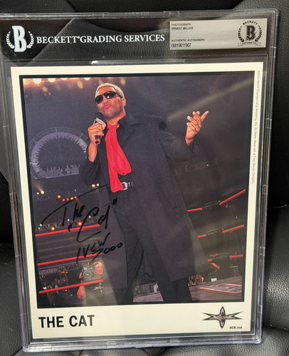 Ernest the cat - the,