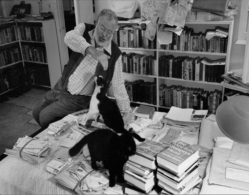 Stampa ernest hemingway con - stampa,